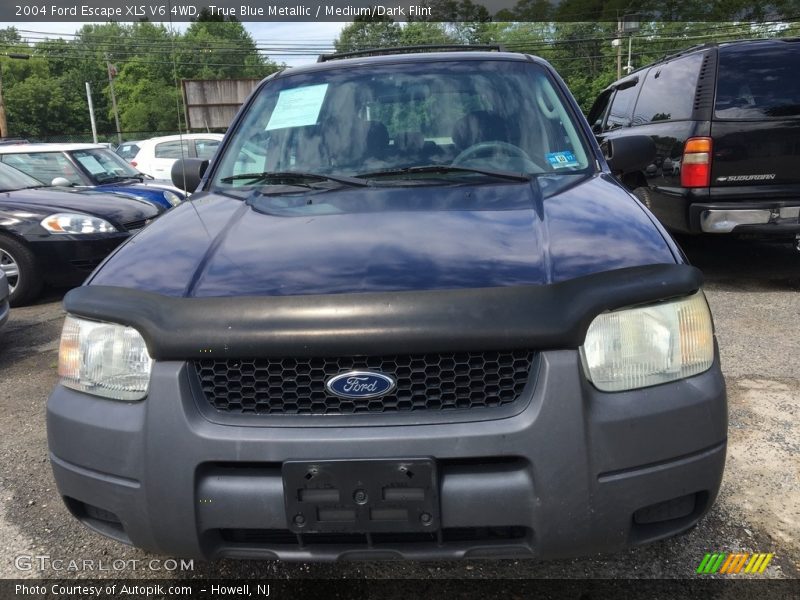 True Blue Metallic / Medium/Dark Flint 2004 Ford Escape XLS V6 4WD