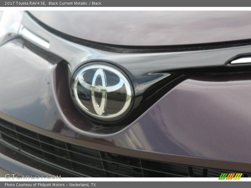 Black Current Metallic / Black 2017 Toyota RAV4 SE