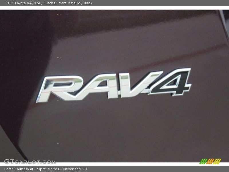 Black Current Metallic / Black 2017 Toyota RAV4 SE