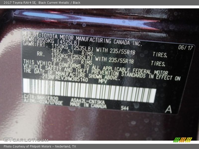 Black Current Metallic / Black 2017 Toyota RAV4 SE