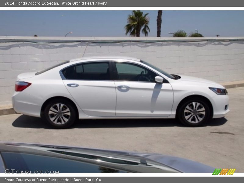 White Orchid Pearl / Ivory 2014 Honda Accord LX Sedan