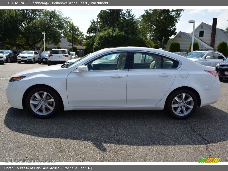 Bellanova White Pearl / Parchment 2014 Acura TL Technology