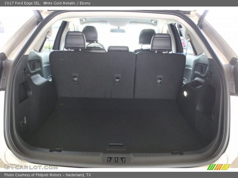 White Gold Metallic / Ebony 2017 Ford Edge SEL