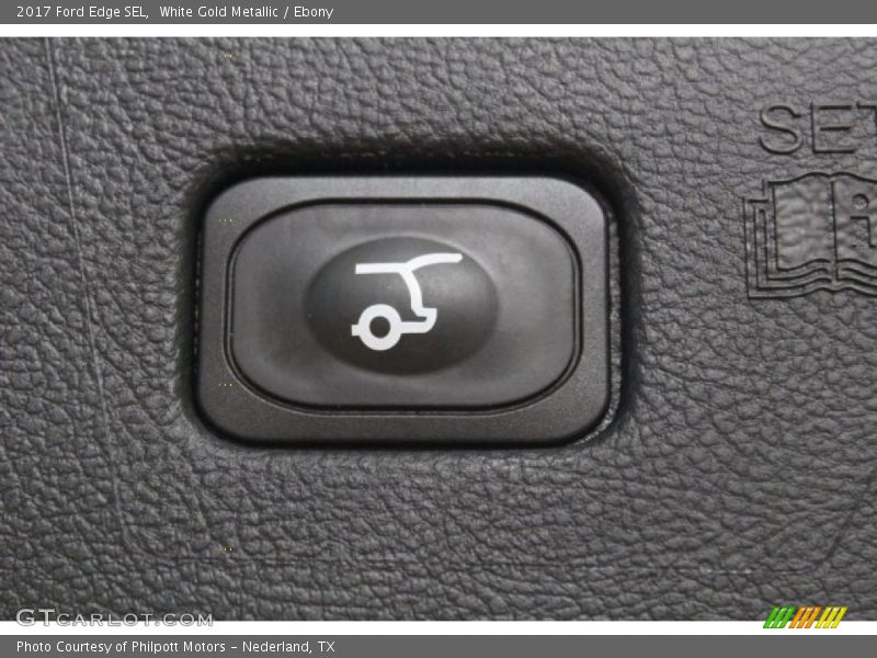 White Gold Metallic / Ebony 2017 Ford Edge SEL