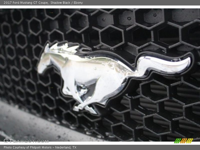 Shadow Black / Ebony 2017 Ford Mustang GT Coupe