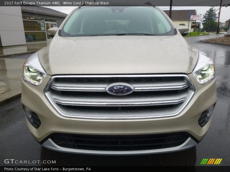 White Gold / Charcoal Black 2017 Ford Escape Titanium 4WD