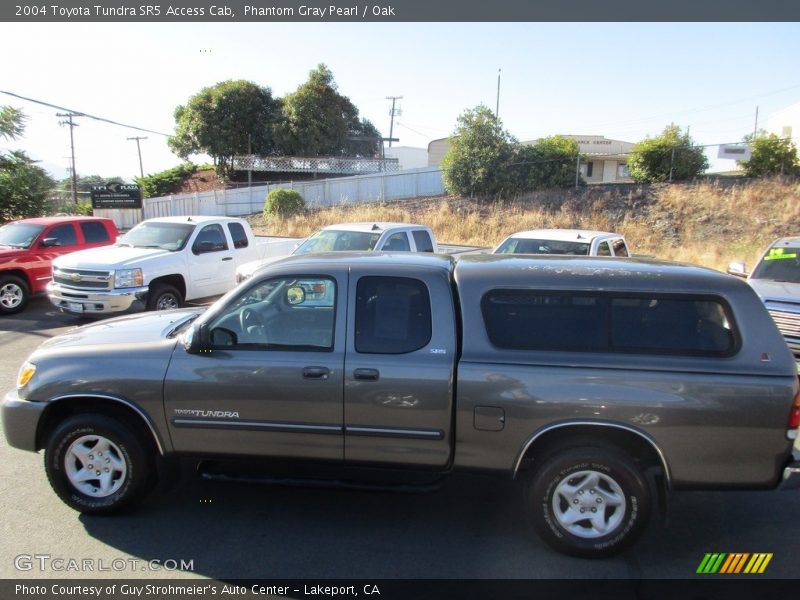 Phantom Gray Pearl / Oak 2004 Toyota Tundra SR5 Access Cab