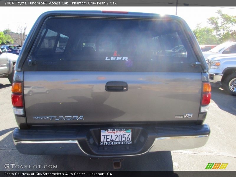Phantom Gray Pearl / Oak 2004 Toyota Tundra SR5 Access Cab