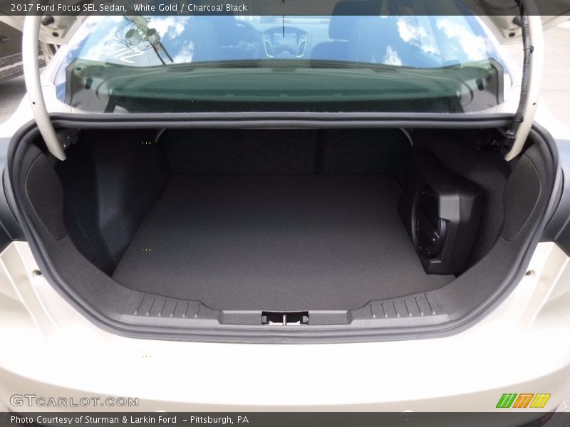 White Gold / Charcoal Black 2017 Ford Focus SEL Sedan