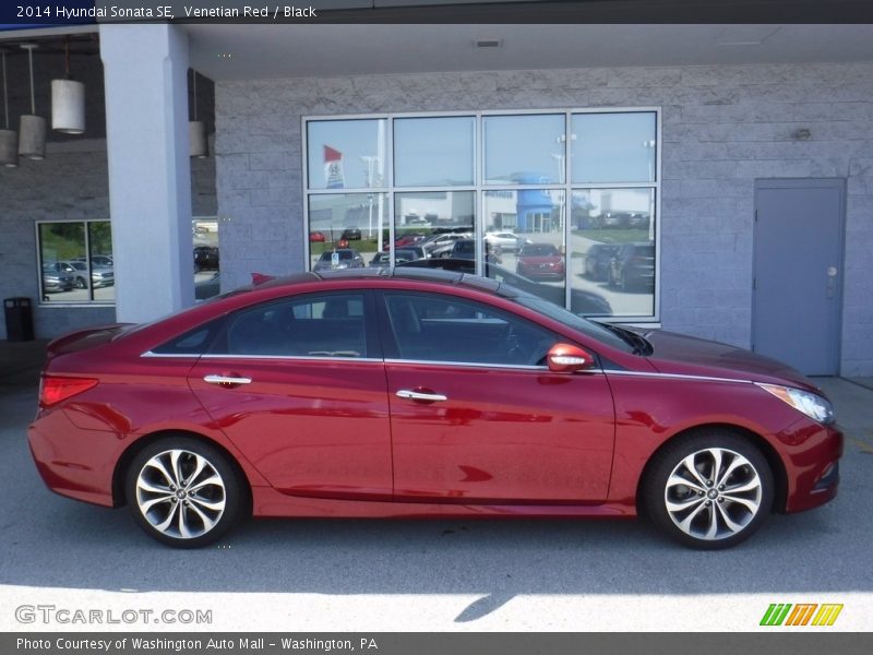 Venetian Red / Black 2014 Hyundai Sonata SE