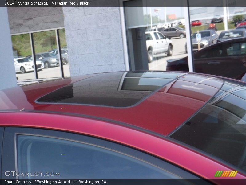 Venetian Red / Black 2014 Hyundai Sonata SE