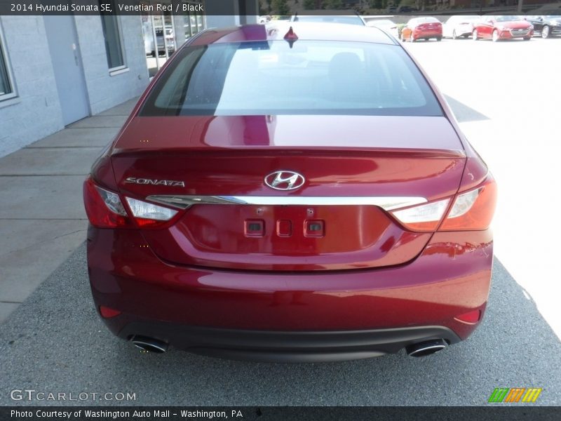 Venetian Red / Black 2014 Hyundai Sonata SE