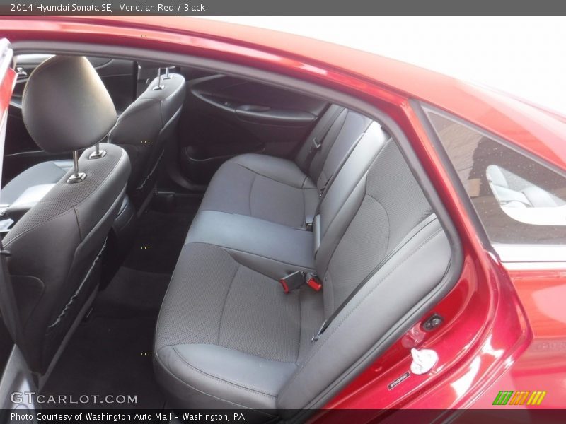 Venetian Red / Black 2014 Hyundai Sonata SE