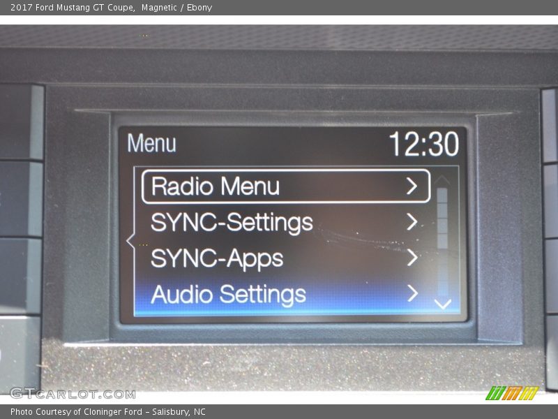 Magnetic / Ebony 2017 Ford Mustang GT Coupe