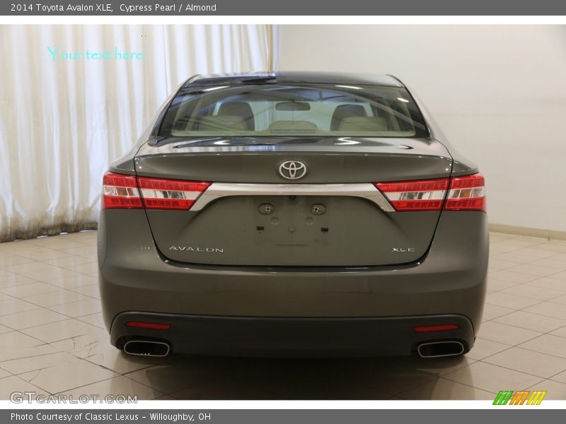 Cypress Pearl / Almond 2014 Toyota Avalon XLE