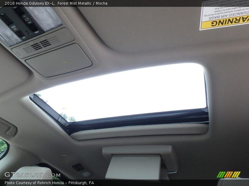 Forest Mist Metallic / Mocha 2018 Honda Odyssey EX-L