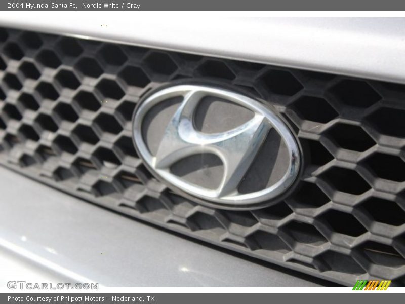 Nordic White / Gray 2004 Hyundai Santa Fe