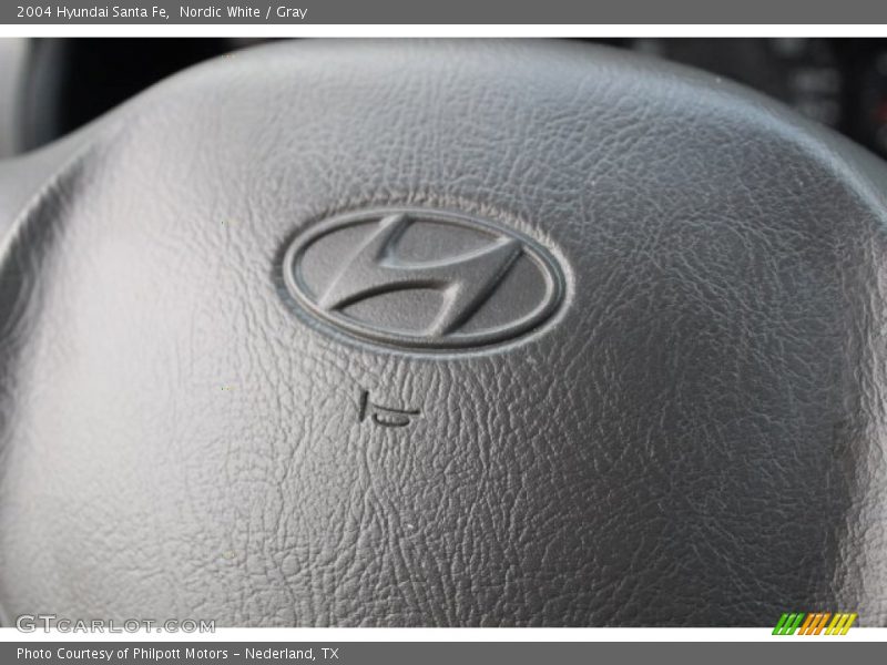 Nordic White / Gray 2004 Hyundai Santa Fe
