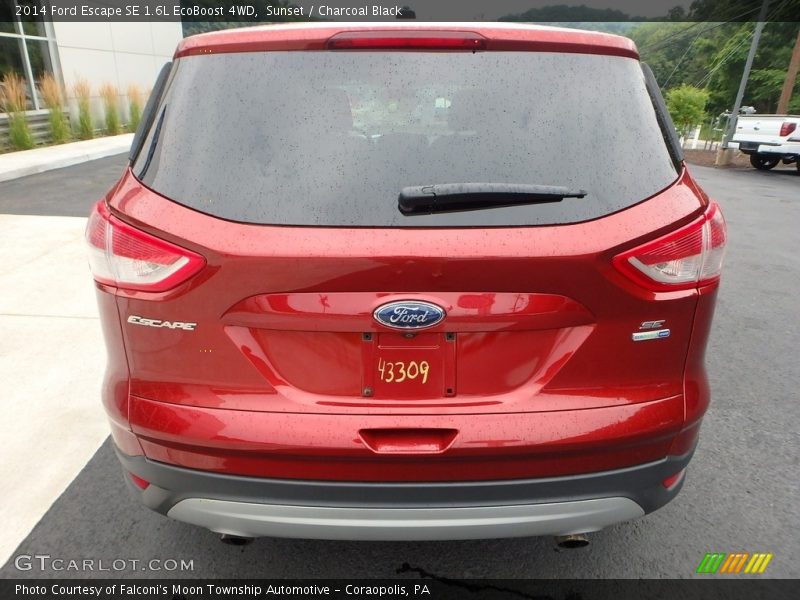 Sunset / Charcoal Black 2014 Ford Escape SE 1.6L EcoBoost 4WD