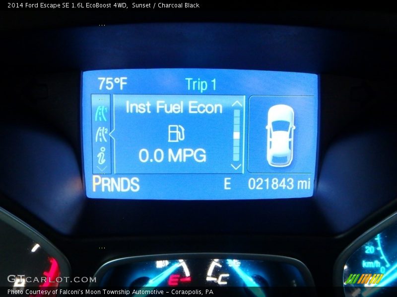 Sunset / Charcoal Black 2014 Ford Escape SE 1.6L EcoBoost 4WD