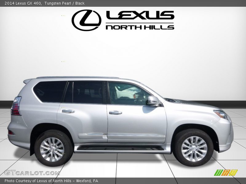 Tungsten Pearl / Black 2014 Lexus GX 460