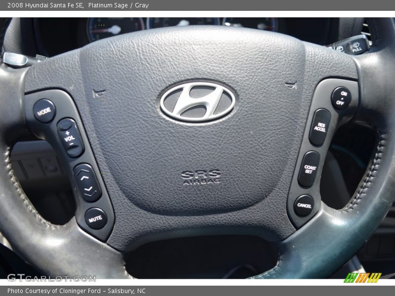 Platinum Sage / Gray 2008 Hyundai Santa Fe SE