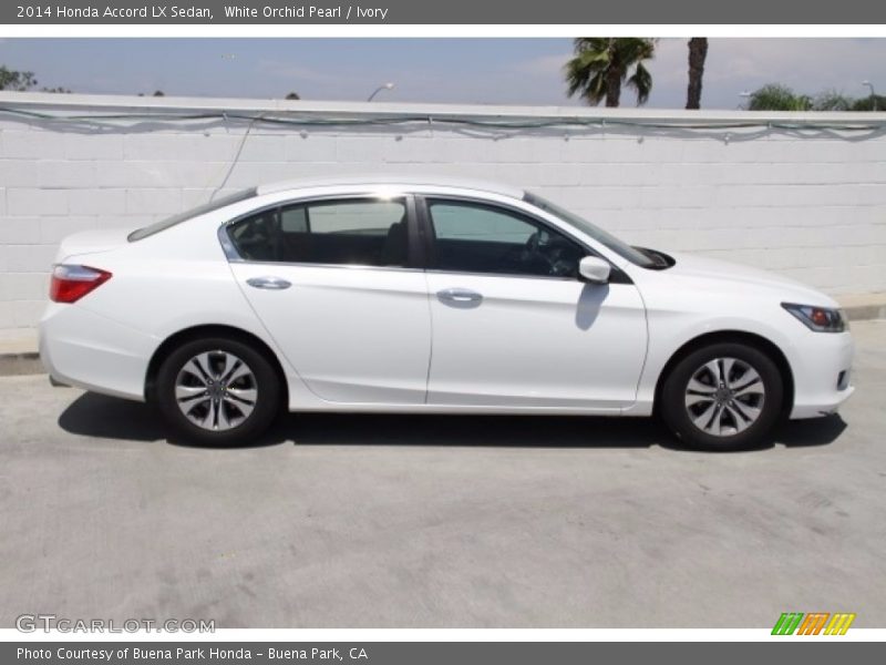 White Orchid Pearl / Ivory 2014 Honda Accord LX Sedan