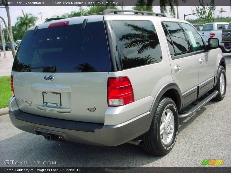 Silver Birch Metallic / Medium Flint Grey 2005 Ford Expedition XLT