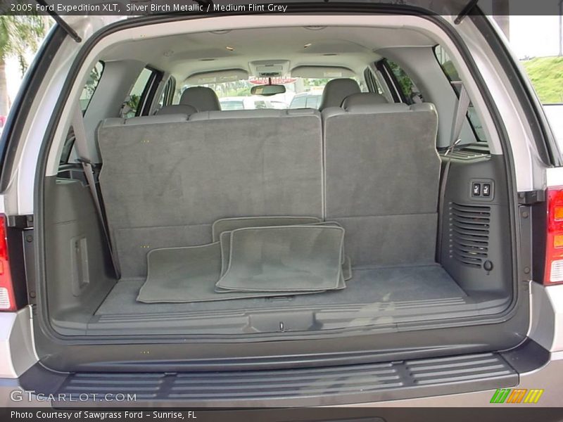 Silver Birch Metallic / Medium Flint Grey 2005 Ford Expedition XLT