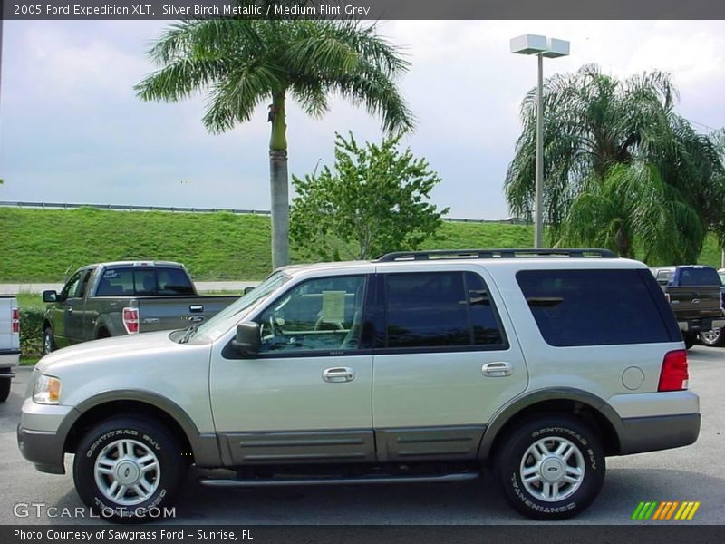 Silver Birch Metallic / Medium Flint Grey 2005 Ford Expedition XLT