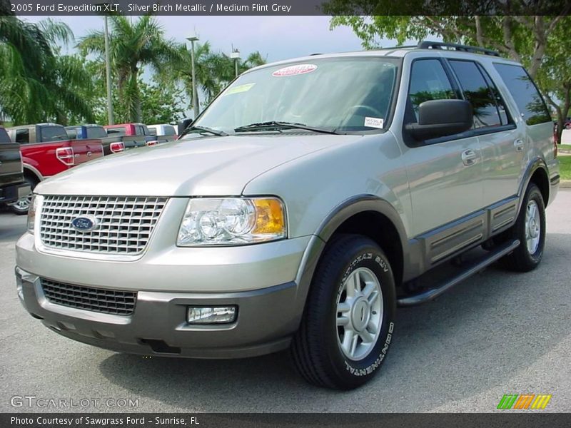 Silver Birch Metallic / Medium Flint Grey 2005 Ford Expedition XLT