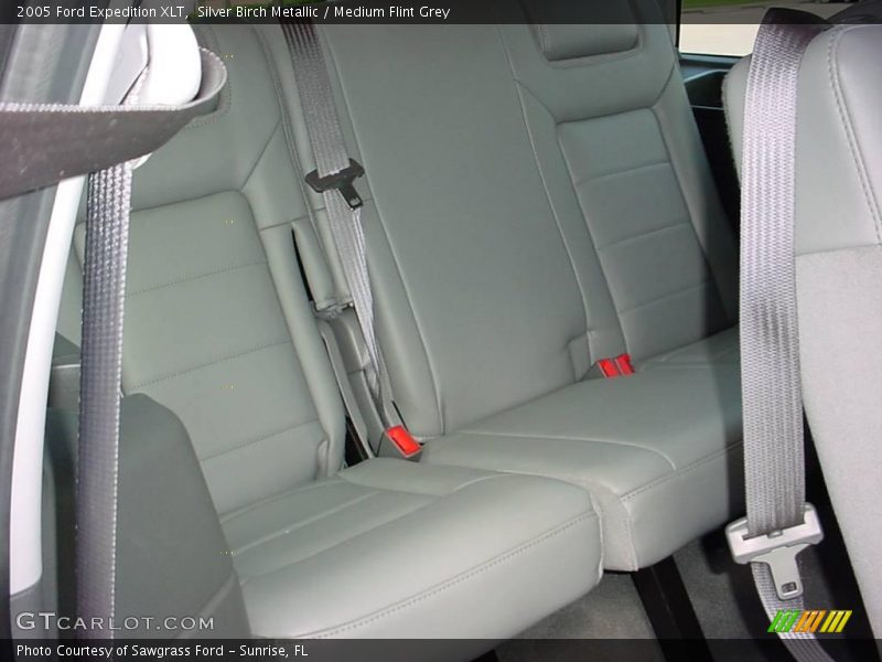 Silver Birch Metallic / Medium Flint Grey 2005 Ford Expedition XLT