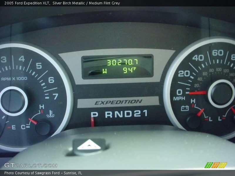 Silver Birch Metallic / Medium Flint Grey 2005 Ford Expedition XLT