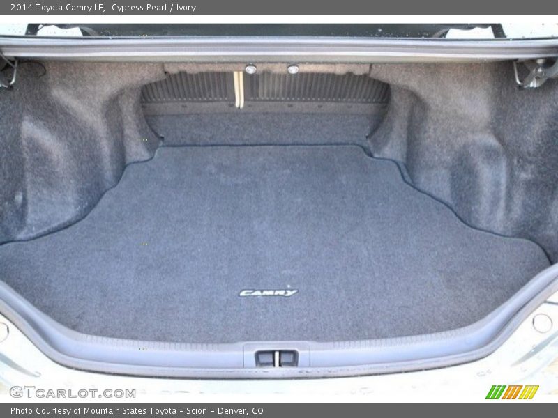 Cypress Pearl / Ivory 2014 Toyota Camry LE