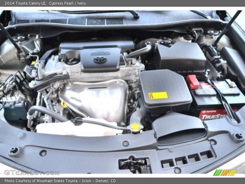 Cypress Pearl / Ivory 2014 Toyota Camry LE