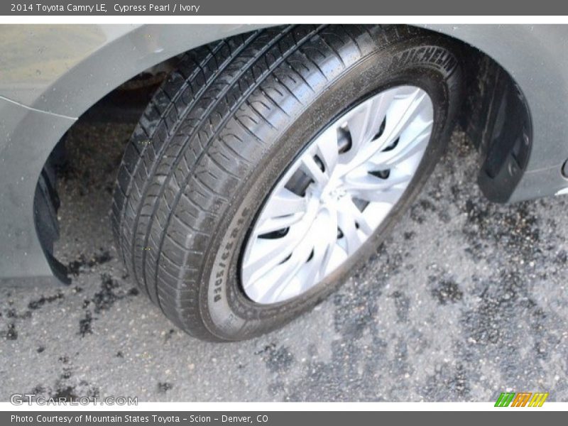 Cypress Pearl / Ivory 2014 Toyota Camry LE