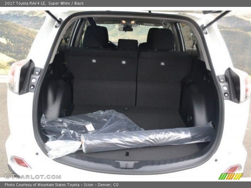 Super White / Black 2017 Toyota RAV4 LE