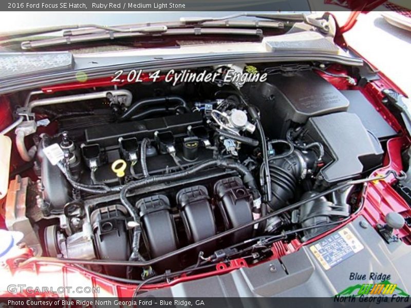 Ruby Red / Medium Light Stone 2016 Ford Focus SE Hatch