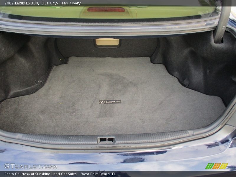 Blue Onyx Pearl / Ivory 2002 Lexus ES 300