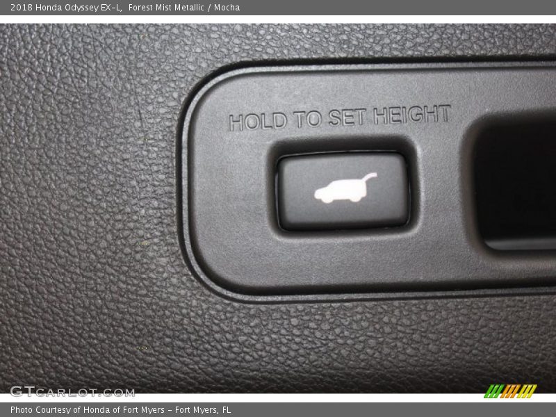 Forest Mist Metallic / Mocha 2018 Honda Odyssey EX-L