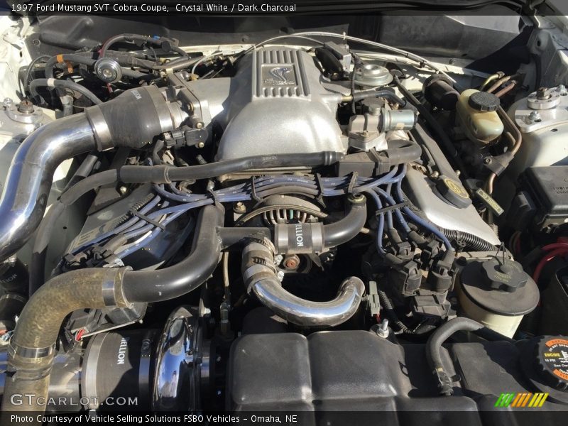 Crystal White / Dark Charcoal 1997 Ford Mustang SVT Cobra Coupe