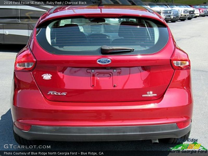 Ruby Red / Charcoal Black 2016 Ford Focus SE Hatch