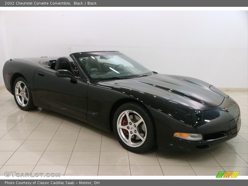 Black / Black 2002 Chevrolet Corvette Convertible
