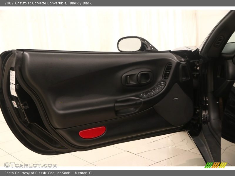 Door Panel of 2002 Corvette Convertible