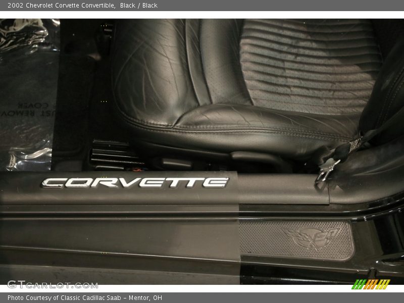  2002 Corvette Convertible Logo