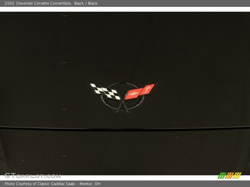 Black / Black 2002 Chevrolet Corvette Convertible