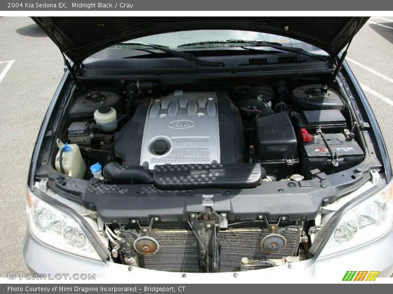 Midnight Black / Gray 2004 Kia Sedona EX