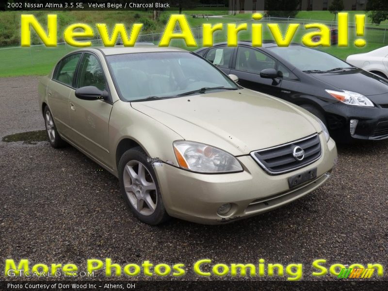 Velvet Beige / Charcoal Black 2002 Nissan Altima 3.5 SE