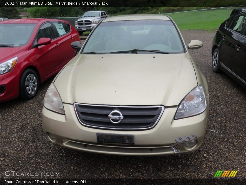 Velvet Beige / Charcoal Black 2002 Nissan Altima 3.5 SE