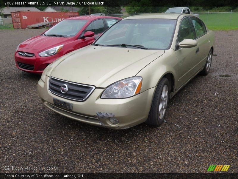 Velvet Beige / Charcoal Black 2002 Nissan Altima 3.5 SE